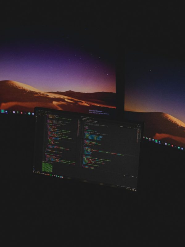 david-schultz-SrewPUfo2c0-unsplash